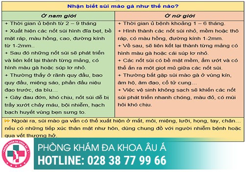 cách nhận biết sùi mào gà