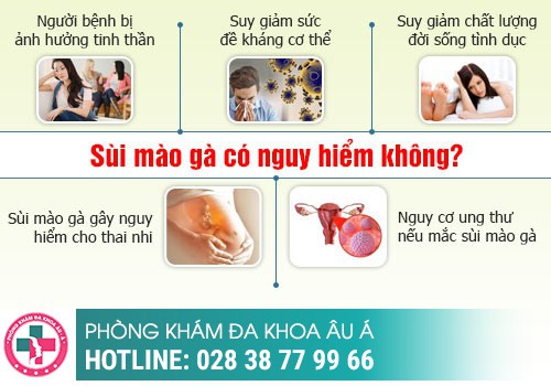 đốt sùi mào gà có trị sùi mào gà được không