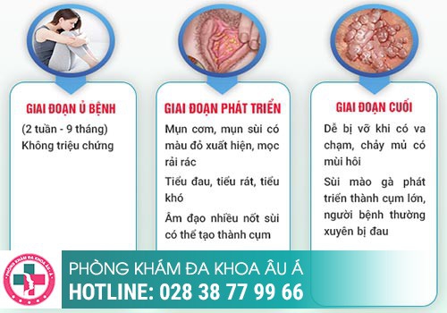 sùi mào gà ở cổ tử cung
