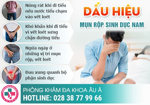 Dương vật nổi mụn thịt là bị bệnh gì?