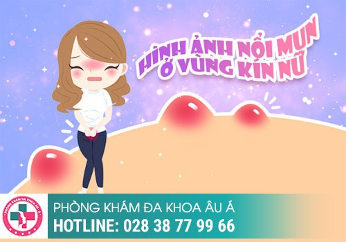 Mụn đỏ ở vùng kín là bệnh gì?