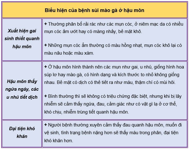 bệnh sùi mào gà ở hậu môn