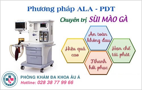 gai sinh dục
