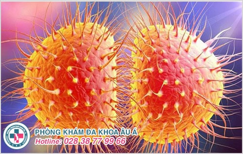 Kiến thức y khoa về bệnh lậu cần biết