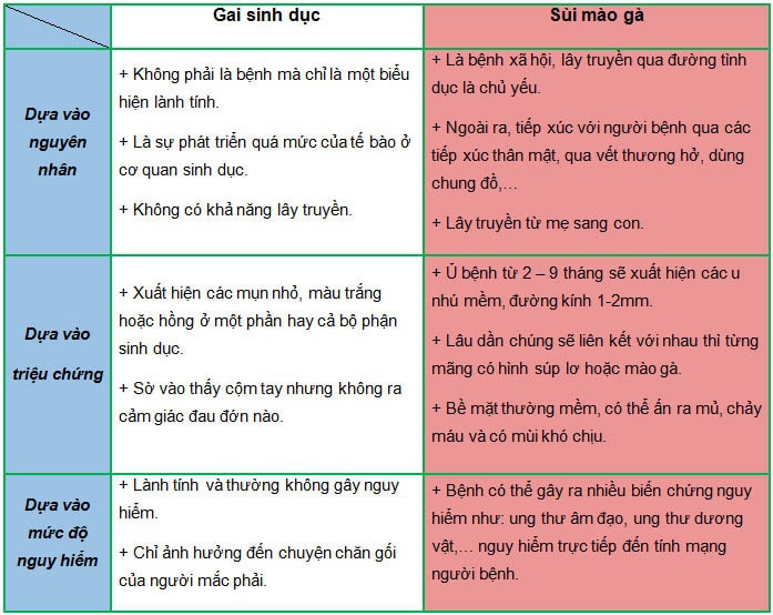 Gai sinh dục và cách hỗ trợ điều trị bệnh gai sinh dục hiệu quả